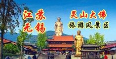 驲屄影院江苏无锡灵山大佛旅游风景区