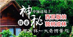 鸡巴插穴视频
