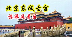 美女空姐试大鸡巴中国北京-东城古宫旅游风景区