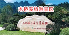 黑人大鸡吧与中国美女交配