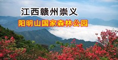 看大骚逼逼视频